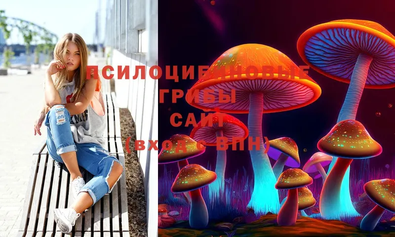 Галлюциногенные грибы MAGIC MUSHROOMS  Киржач 